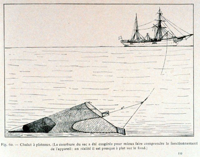 Trawling apparatus deployed on the PRINCESS ALICE Picture
