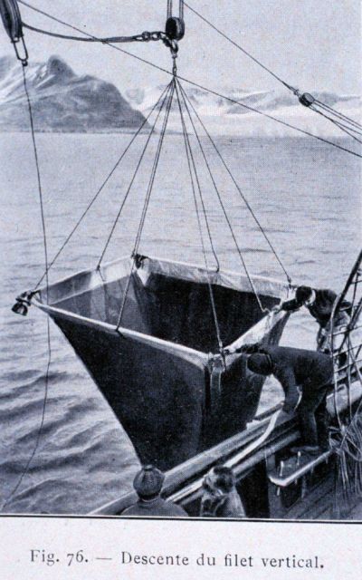 Descent of a vertical net which will then be pulled straight up on the return Picture