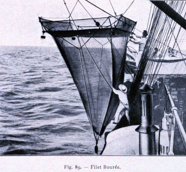 Deploying the Bouree net Picture