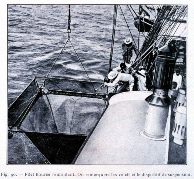 Recovering the Bouree net Picture