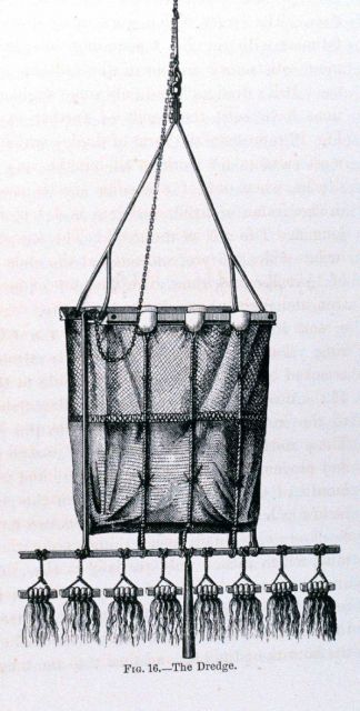 Figure 16 Picture