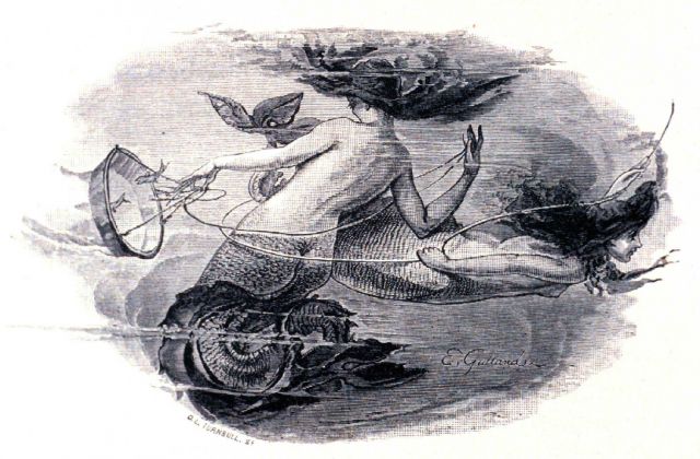 Naturalist's dream of mermaids collecting in the deep Picture