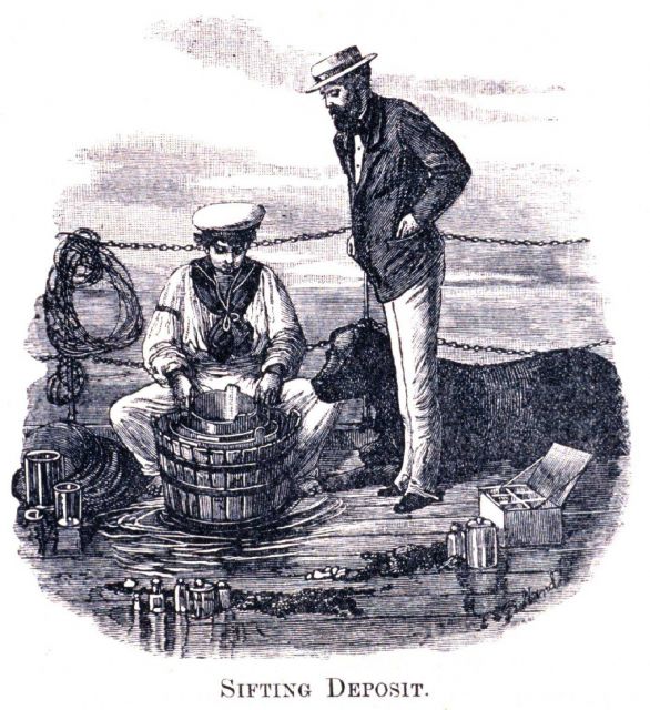 Sifting deposit looking for various forms of life from the deep sea Picture