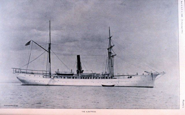 The United States Fish Commission Steamer ALBATROSS Picture