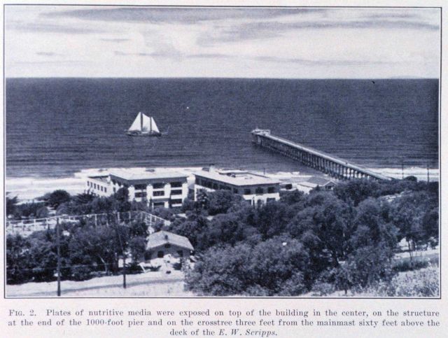 The schooner E Picture