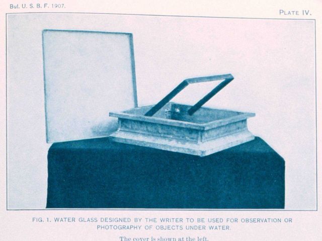 Water glass designed by Reighard for underwater observation or photography Picture