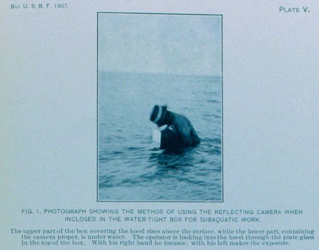 Method of using the reflecting camera for photographic work Picture
