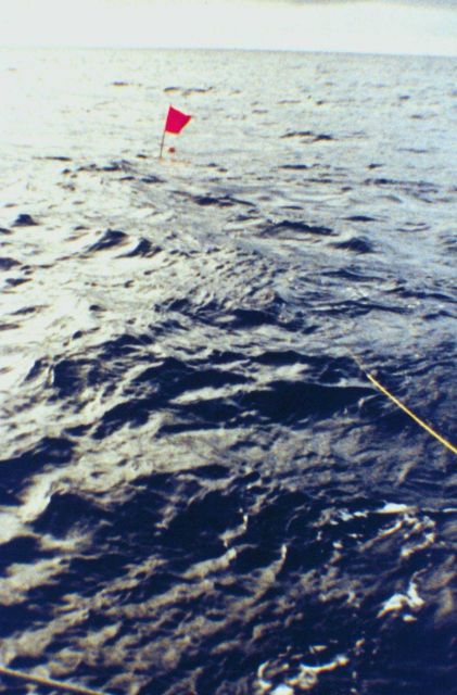 Deep Tow, Scripps Institution of Oceanography Picture