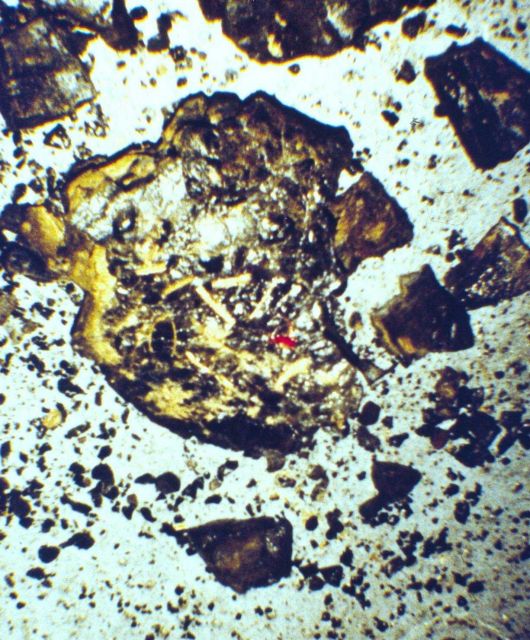 Deep Tow, Scripps Institution of Oceanography Picture