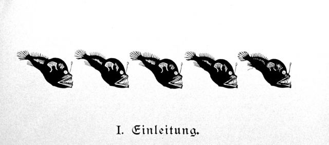 Graphic of deep sea anglerfish at beginning of Chapter 1 Picture