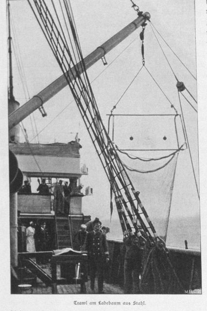 Trawl net prior to deployment Picture
