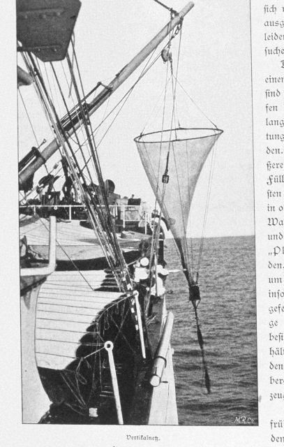 The vertical net Picture