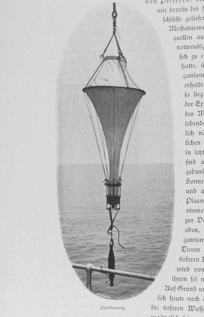 Plankton net Picture