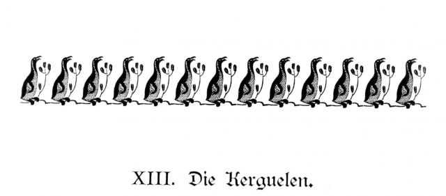 Artwork at the beginning of Chapter XIII, Kerguelen Island Picture