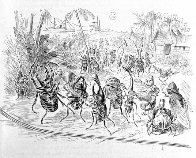 Humorous illustration of the German scientists and crew shown as insects having a good time on shore in Sumatra Picture