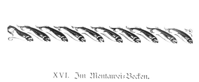 Illustration accompanying beginning of Chapter XVI - 