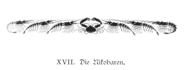 Artwork at the beginning of Chapter XVII Picture