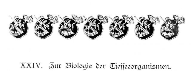 Artwork at introduction to Chapter XXIV, The Biology of the Deep Sea Organisms Picture