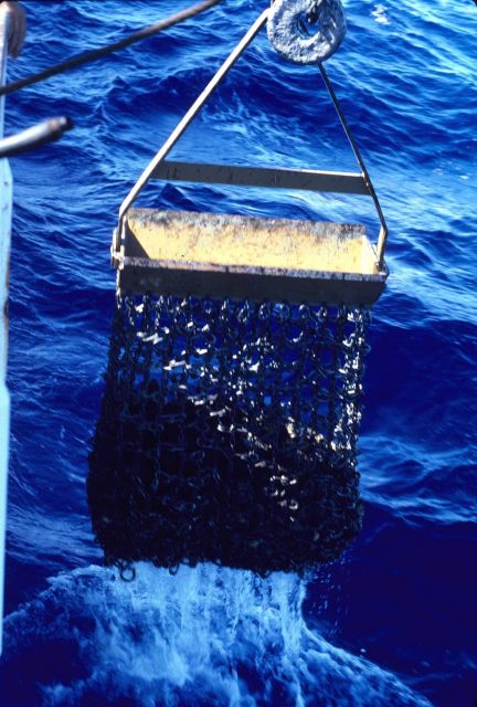 Chain dredge being recovered with bag of volcanic rocks. Picture