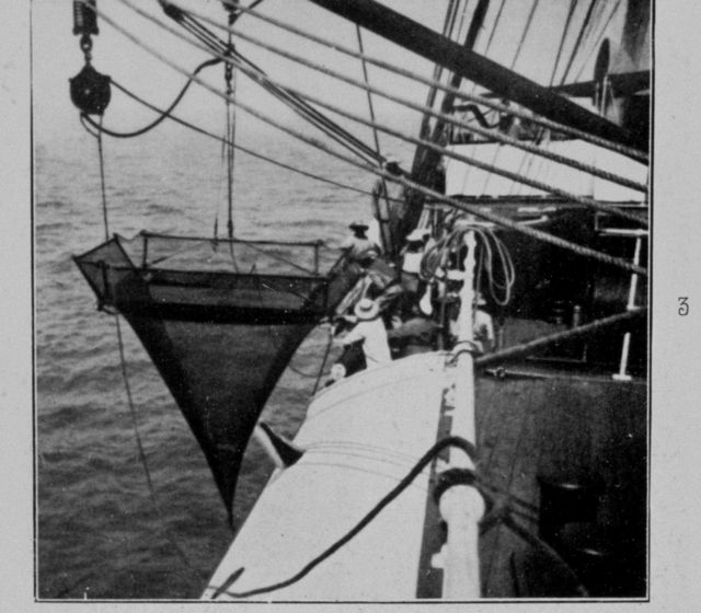 Bouree net ready to put overboard Picture