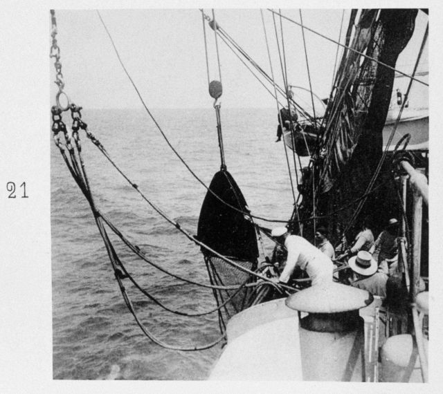 Large net with four doors meant for exploring the bathypelagic zone Picture