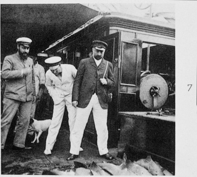 Dogfish brought up by longline in front of A Picture