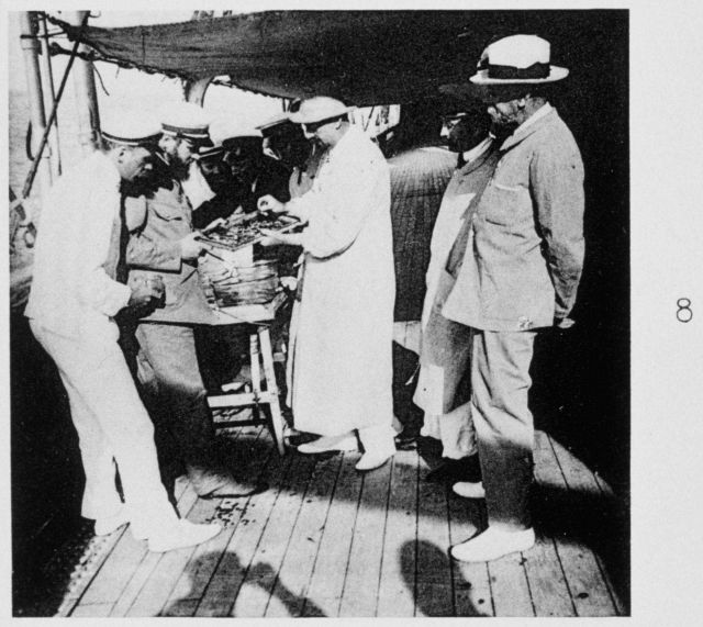 Examining the catch brought in by a Bouree net Picture