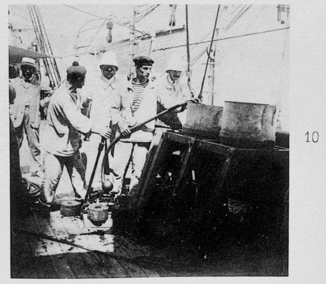 Collecting plankton by means of pumping water on board through a rubber hose Picture