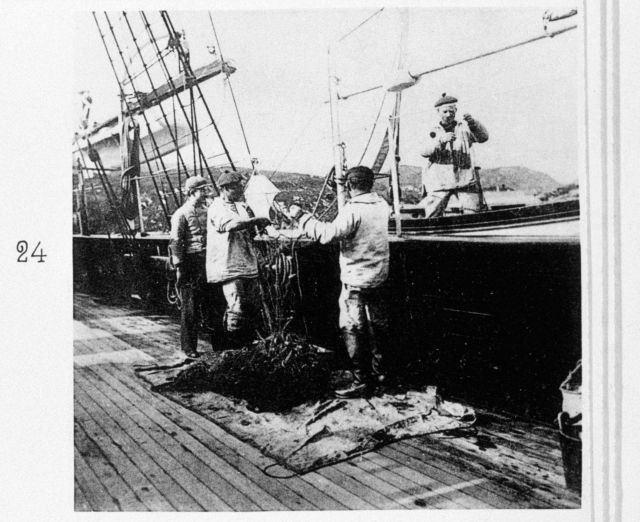 Return of a mesh net on the ship Picture