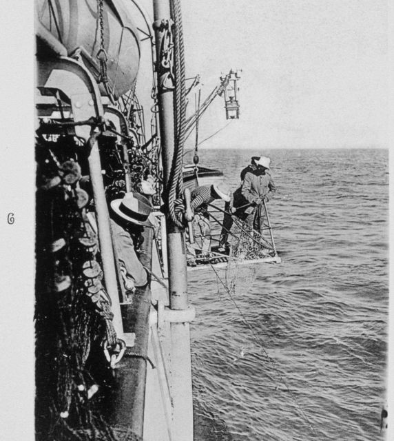 Tending the return of the longline Picture