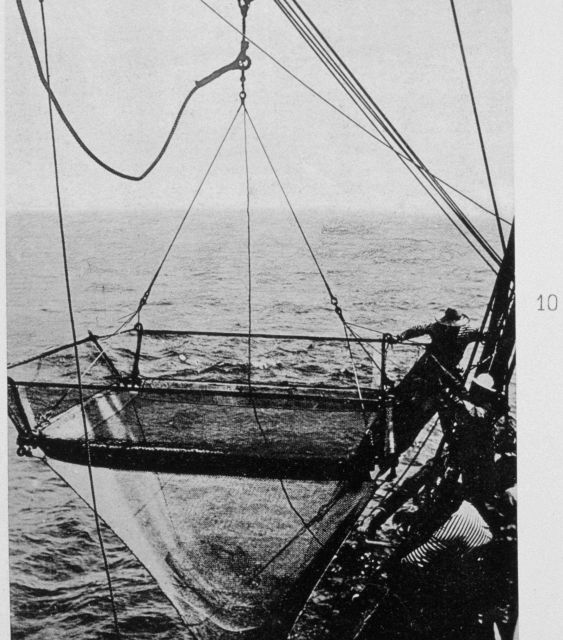 Bouree high-speed net for rapid towing Picture