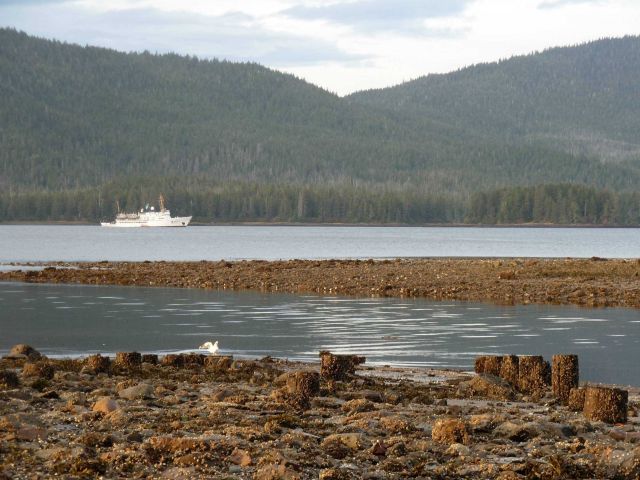 NOAA Ship FAIRWEATHER in the Bay of Pillars, Chatham Strait area. Picture
