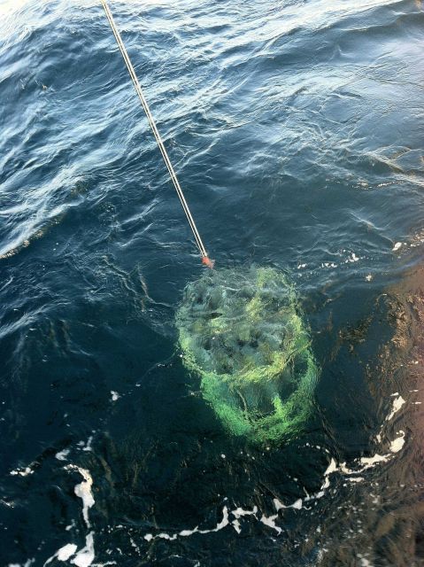 CTD operations on the NOAA Ship FAIRWEATHER Picture