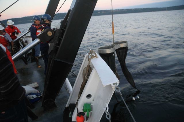 Deploying bongo nets off NOAA Ship FAIRWEATHER. Picture
