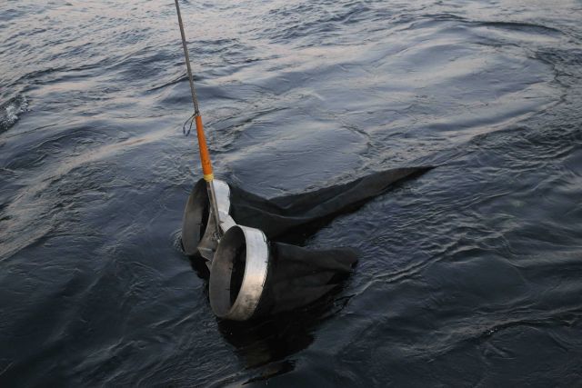 Towing bongo nets off NOAA Ship FAIRWEATHER. Picture