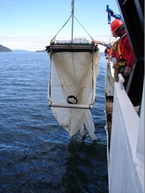 Recovering a MOCNESS off the NOAA Ship FAIRWEATHER. Picture