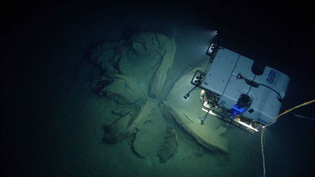 NOAA DEEP DISCOVERER over tar lily - operated from NOAA Ship OKEANOS EXPLORER Picture