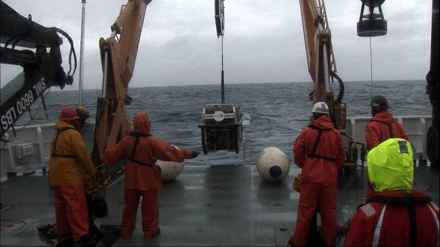 Sailing for Science Collection Picture