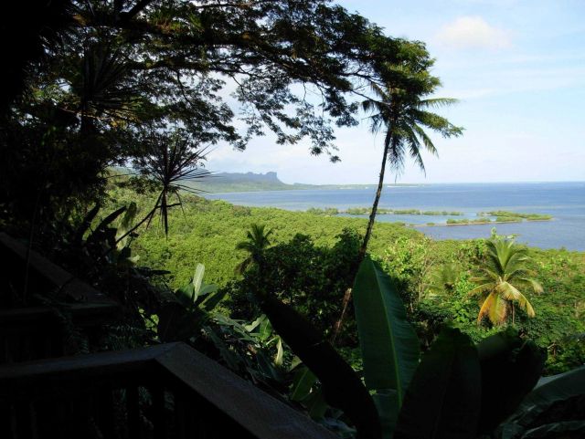 Looking to the west along the north coast of Pohnpei through the lush jungle foliage to Pailapap, the 186-meter peak at the entrance to Pohnpei harbor Picture