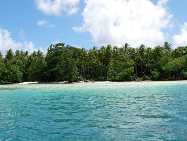 A view of tropical foliage coming right down to the white sand beach of Pohnpei. Picture