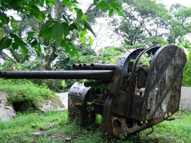 A remnant of World War II - deserted Japanese anti-aircraft gun being overtaken by the climate and relentless growth of tropical foliage. Picture