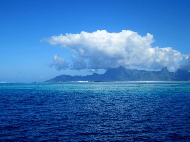 The fringing reef near Papeete Picture