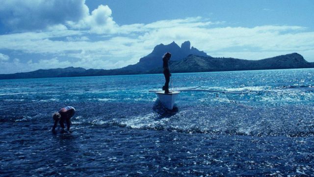 Tourist shelling during outrigger excursion to Bora Bora reef. Picture