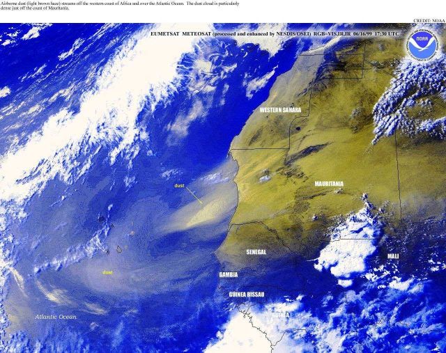 Airborne dust streams off of Africa with a particularly heavy dust plume seen off Mauritania. Picture