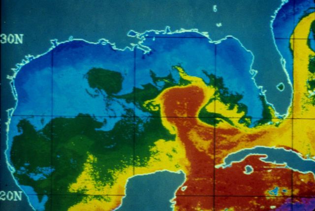 Infrared imagery of Loop Current in the Gulf of Mexico Picture