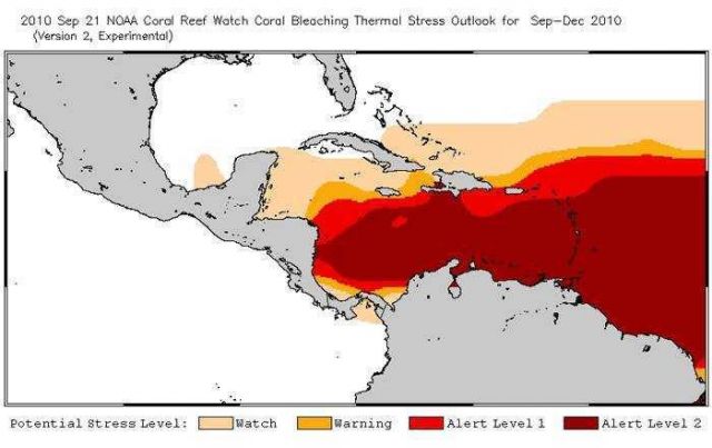 Coral reef watch coral bleaching thermal stress outlook graphic. Picture