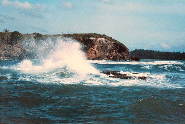 North shore of Puerto Rico, just west of San Juan Picture
