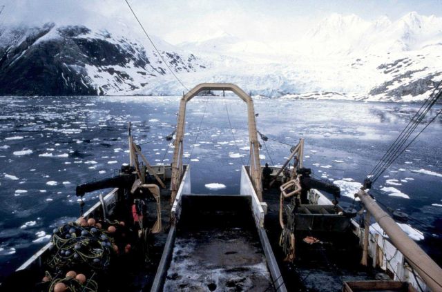 Stern Trawler NOAA Ship MILLER FREEMAN Picture
