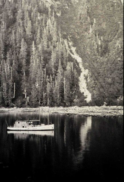 Launch WILDCAT in Nuka Bay area. Picture