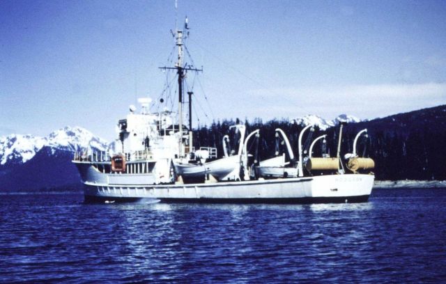 Coast and Geodetic Survey Ship HODGSON Picture